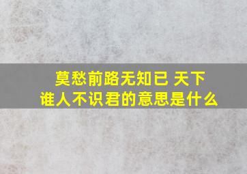 莫愁前路无知已 天下谁人不识君的意思是什么